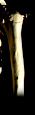 Memorabilia